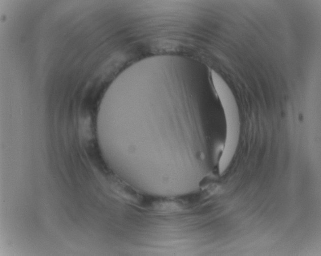 X0000075890224200610151759