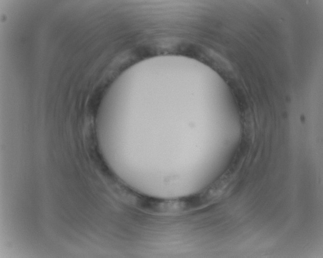 X0000075890225200610151759