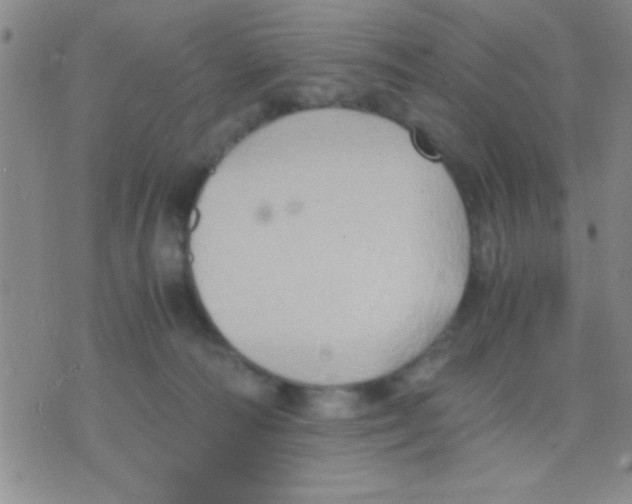 X0000075890226200610151759