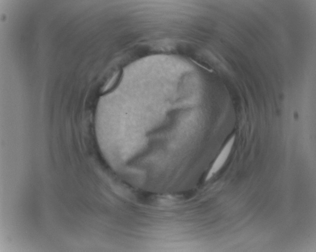 X0000075890229200610151759