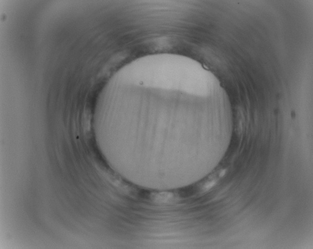 X0000075890230200610151759