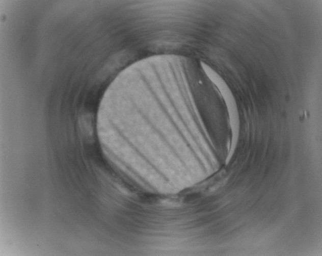 X0000075890232200610151759