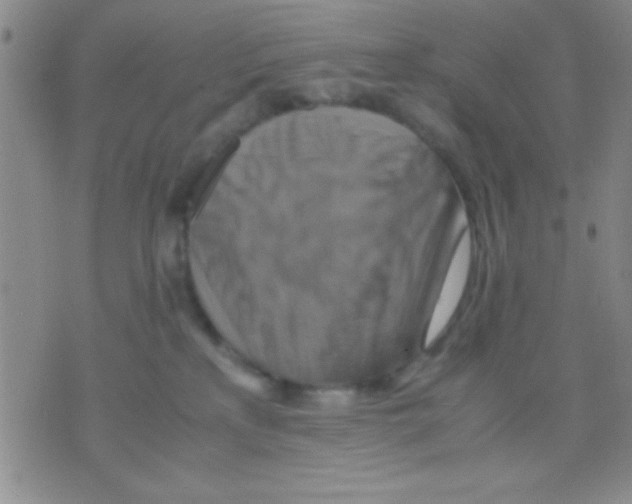 X0000075890233200610151759