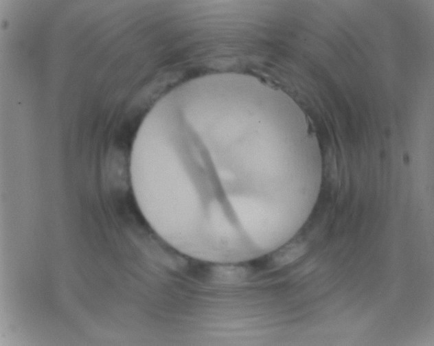 X0000075890234200610151759