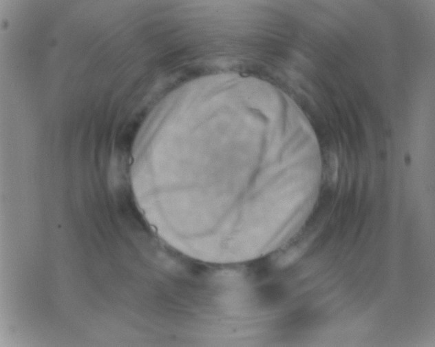 X0000075890236200610151759