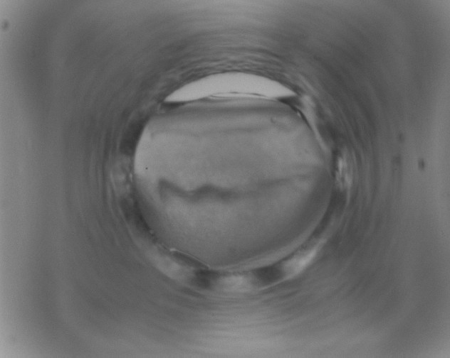 X0000075890237200610151759