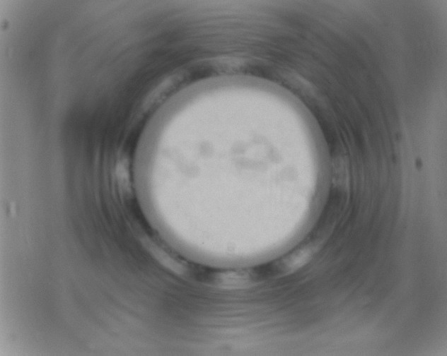 X0000075890238200610151759