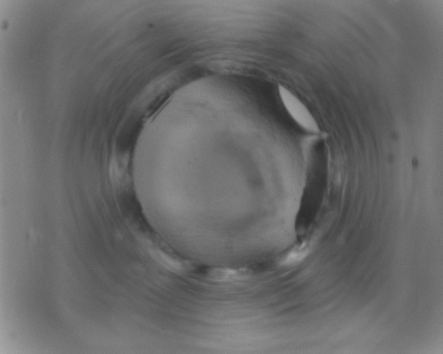 X0000075890239200610151759