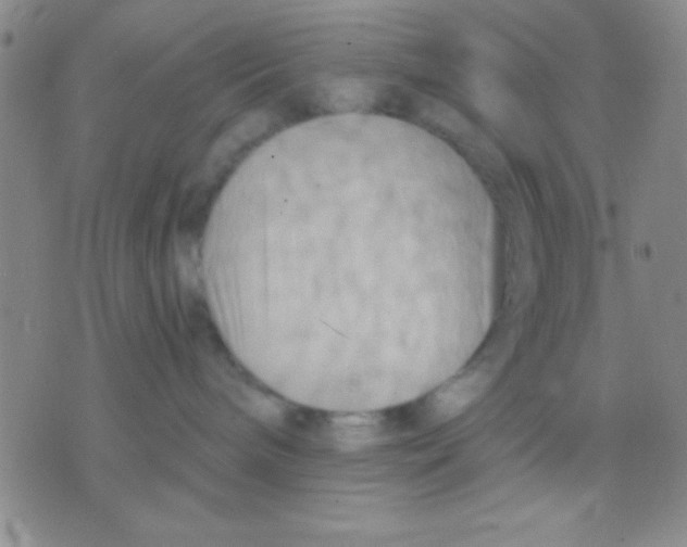 X0000075890240200610151759