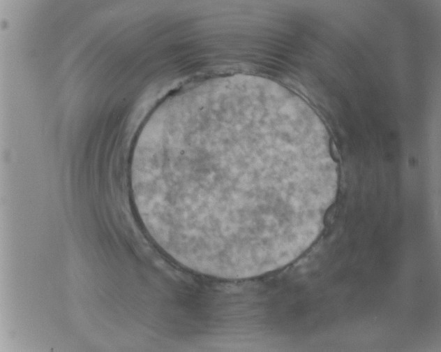 X0000075890241200610151758