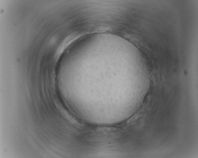 X0000075890242200610151758