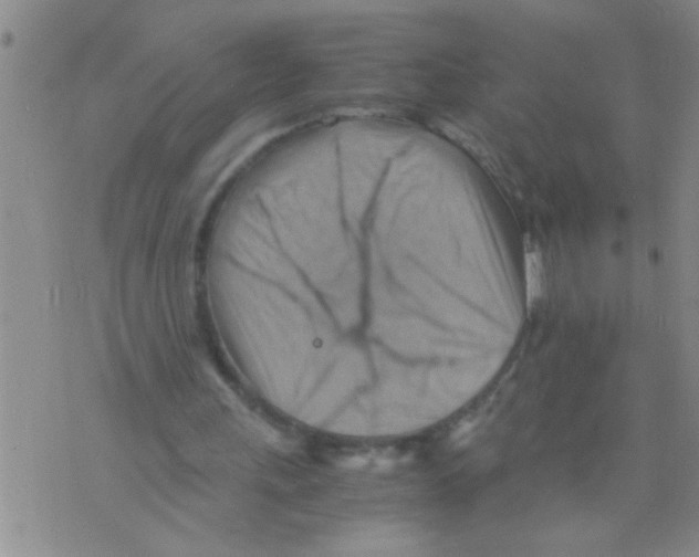 X0000075890243200610151758