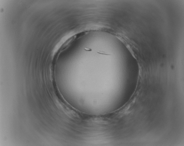 X0000075890244200610151758