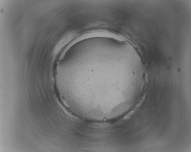 X0000075890245200610151758