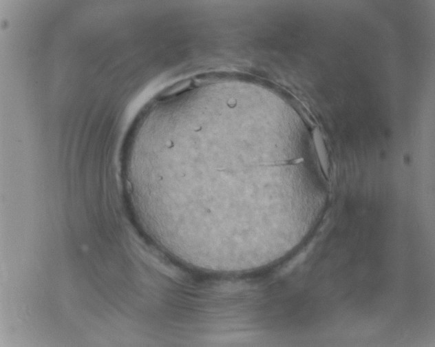 X0000075890246200610151758