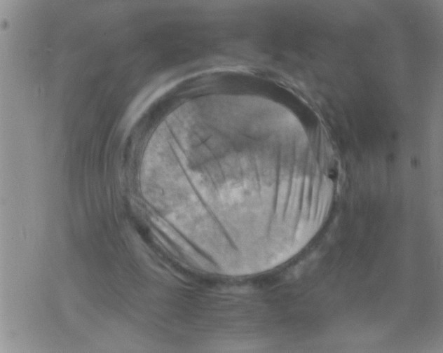 X0000075890247200610151758