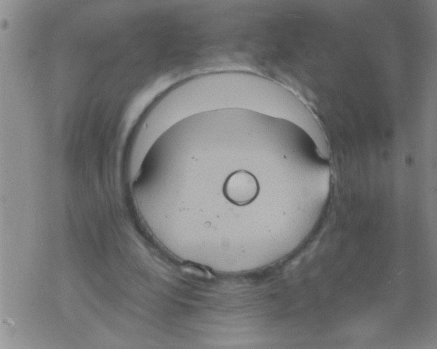 X0000075890248200610151758