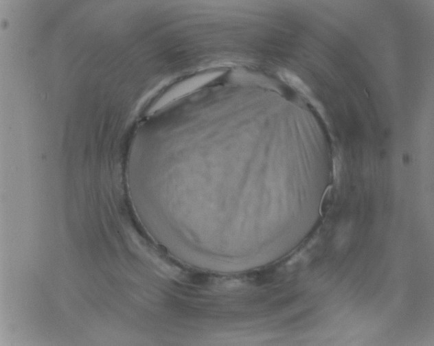 X0000075890249200610151758