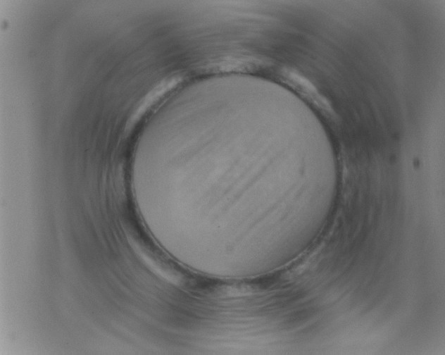 X0000075890250200610151758