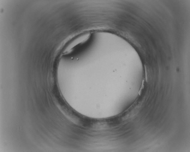 X0000075890252200610151758