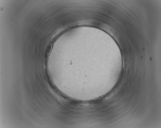 X0000075890253200610151758