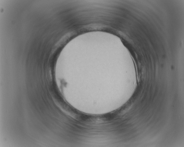 X0000075890254200610151758