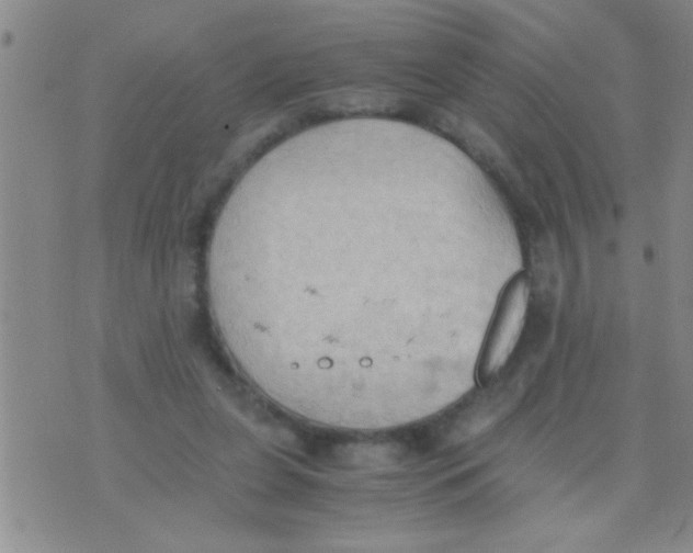 X0000075890255200610151758