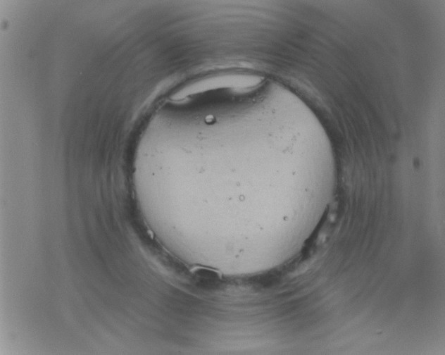 X0000075890256200610151758