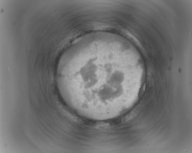 X0000075890257200610151758