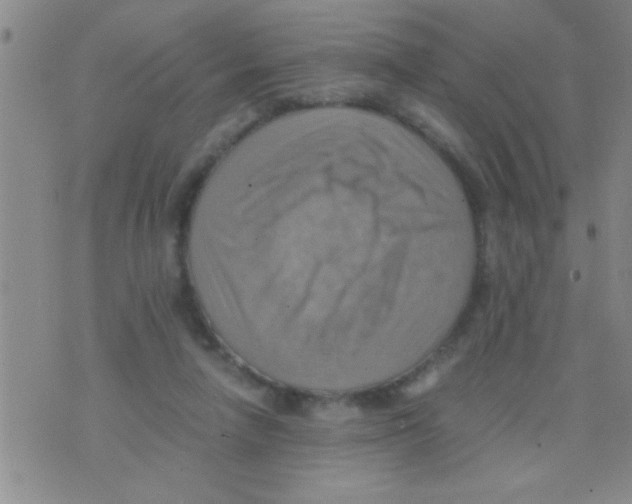 X0000075890258200610151758