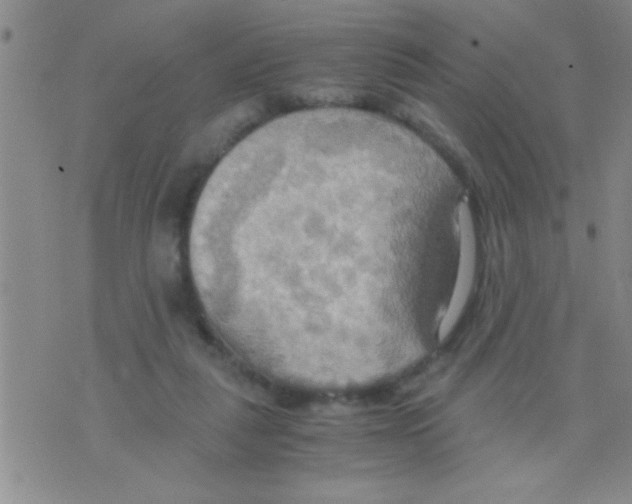 X0000075890259200610151758