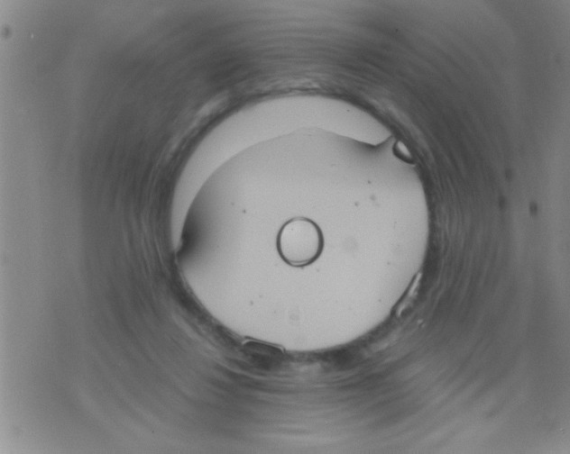 X0000075890260200610151758