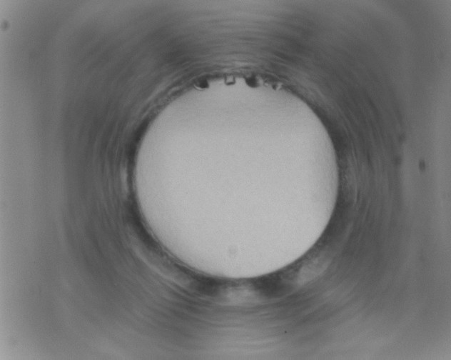 X0000075890262200610151758