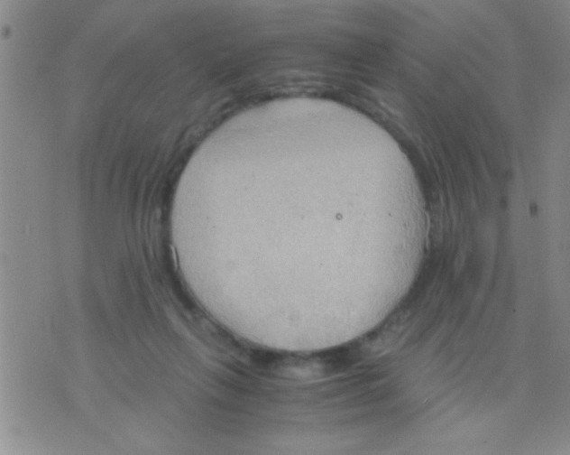 X0000075890263200610151758