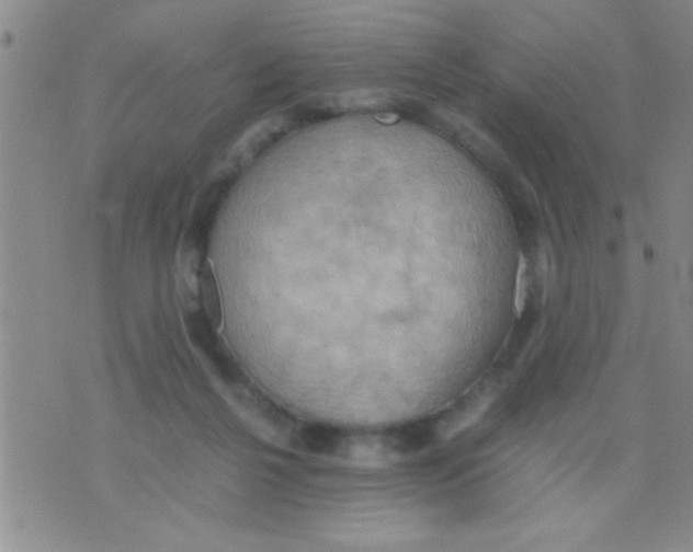 X0000075890264200610151758