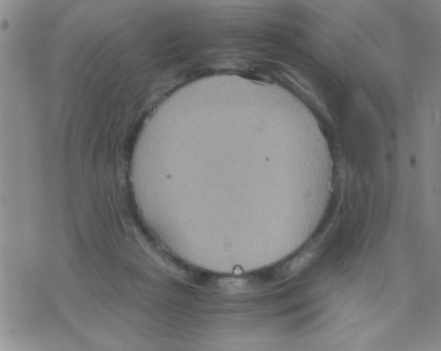 X0000075890265200610151758