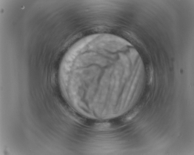 X0000075890266200610151758