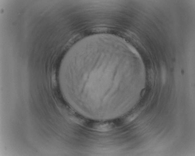 X0000075890267200610151758