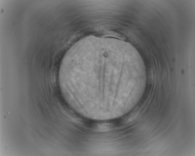 X0000075890268200610151758