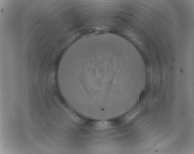 X0000075890269200610151758