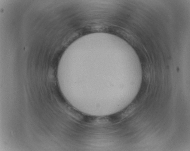 X0000075890270200610151758