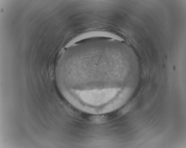 X0000075890273200610151759