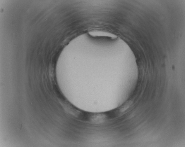 X0000075890274200610151759