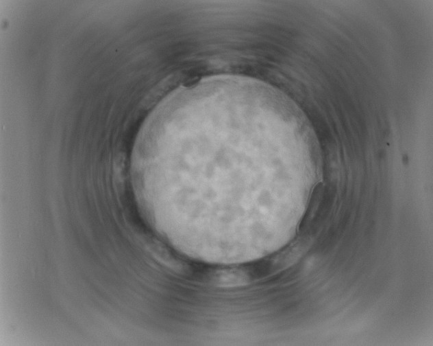 X0000075890275200610151759