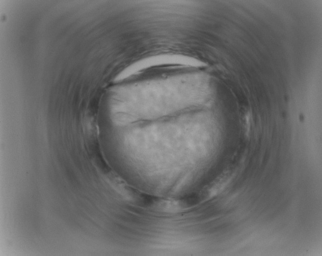 X0000075890276200610151759