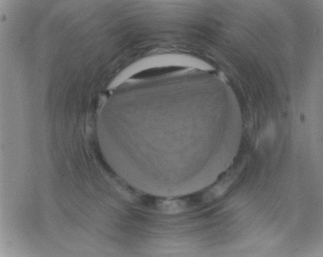 X0000075890277200610151759