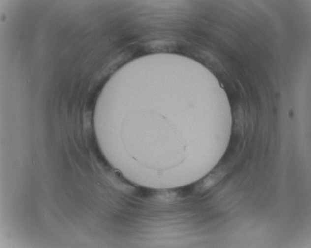 X0000075890278200610151759