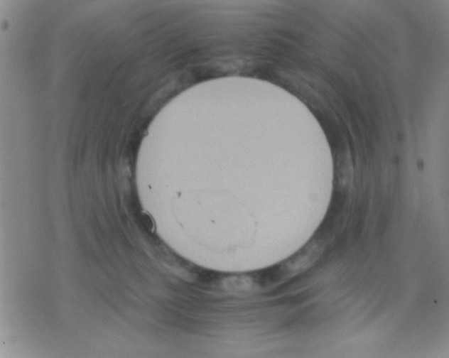 X0000075890279200610151759