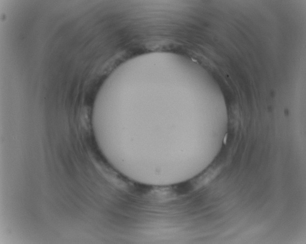 X0000075890280200610151759