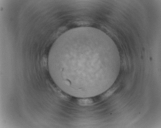 X0000075890281200610151759